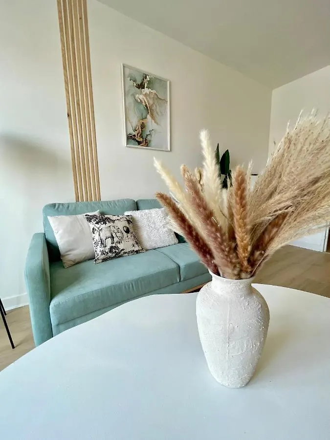 Appartement La Douceur Roannaise - Parking Prive Proche Gare à Roanne France